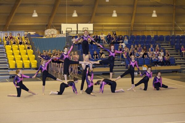 Gymnasts in purple and pink leotards holding a group formation for the finale of the 2012 club display